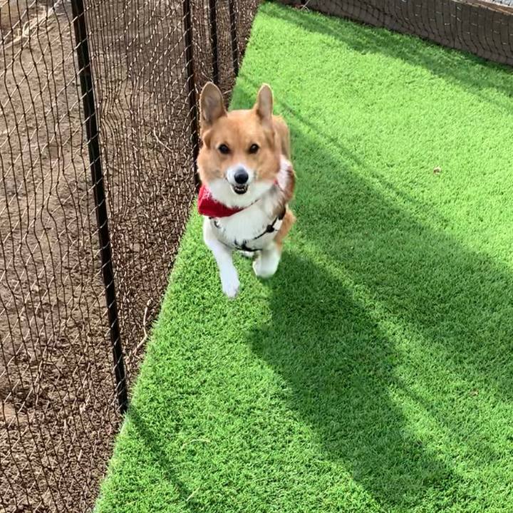 9bc44532 3dff 495e 9926 d0626c3c526c 1640920550187