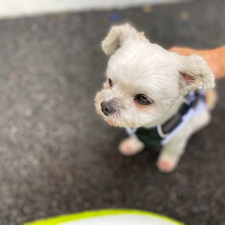 9bc44ba9 b23e 451a 805d f18fc4a4eff9 1598931399469