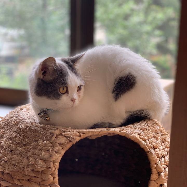 9bc4849c 4243 4347 830a 23f4aeb4b54e 1635695302898