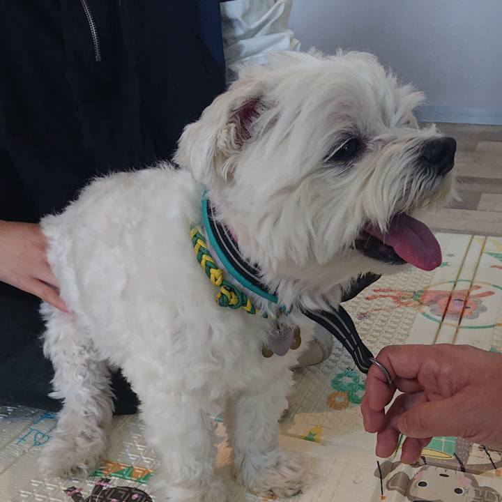 9bc4b661 3d2d 487c 89dc 8224dff01c4f 1584863216696