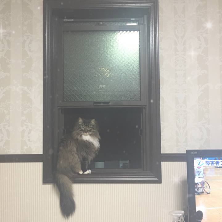 9bc4d47d 80da 4973 855c 98eb4d50621f 1521373525477