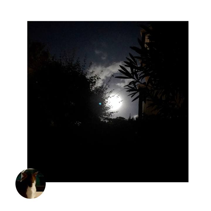 9bc4ea02 ff4c 457b 99fb 224dda0ccddb 1568397001362