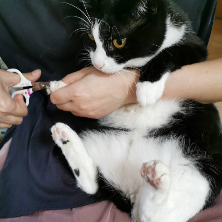 9bc535ba 8dbd 43b1 aad0 744c9a7c5d2f 1665811523334