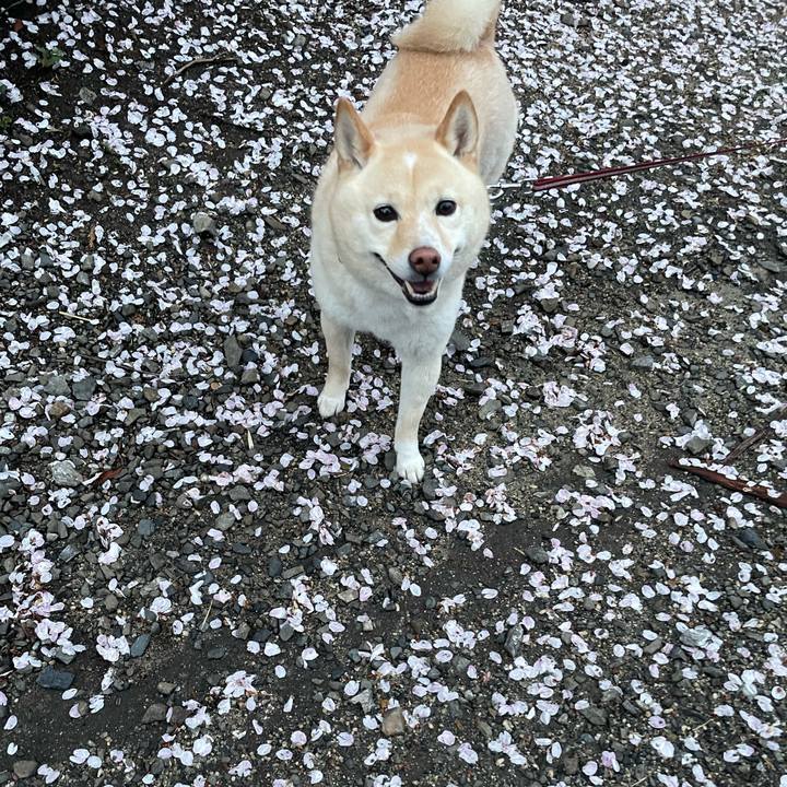 9bc58971 b9b2 4661 9cd7 2f3882aeb307 1680127296901