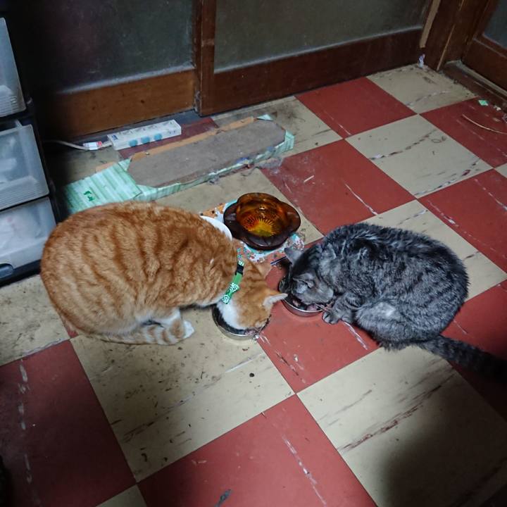 9bc594b2 d2dc 4d5e bc14 60d29d3f9b2f 1580155227932