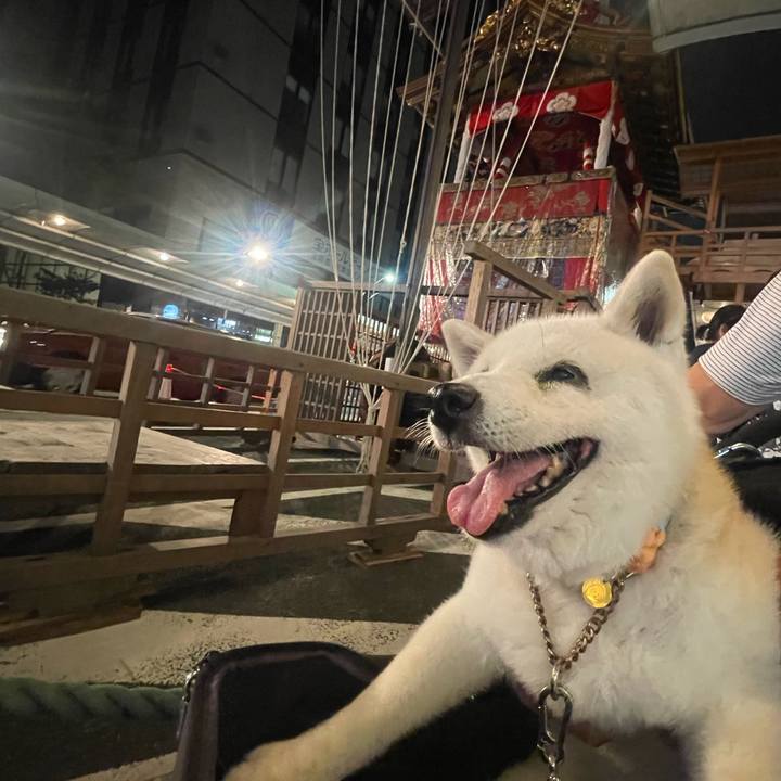 9bc5dd62 e545 4bce a947 7a6e7fea7191 1752329570779