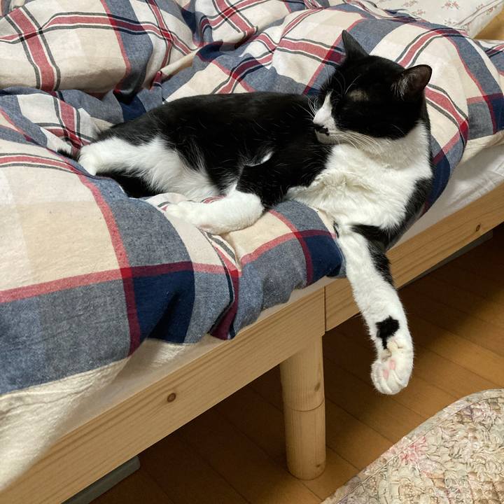 9bc5de98 1601 4e8f aa03 a6ea7bb4da73 1715941706548