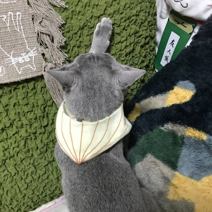 9bc61017 5959 4382 b082 b8bca378554b 1520806403413