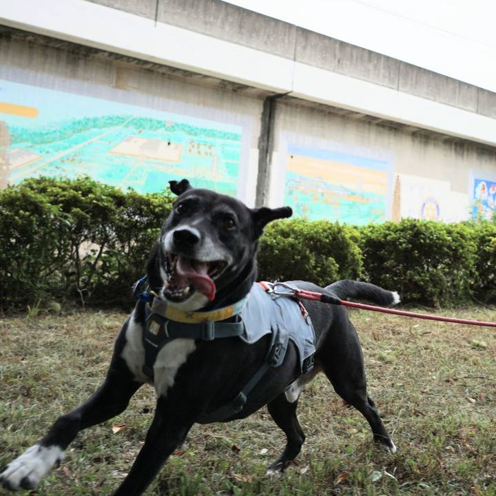 9bc61199 3ca2 4670 a933 7aa0db59e5be 1759798751793