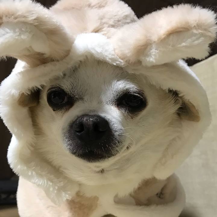 9bc61797 72e0 4f4c 96f0 f9524438f2a5 1606016518353