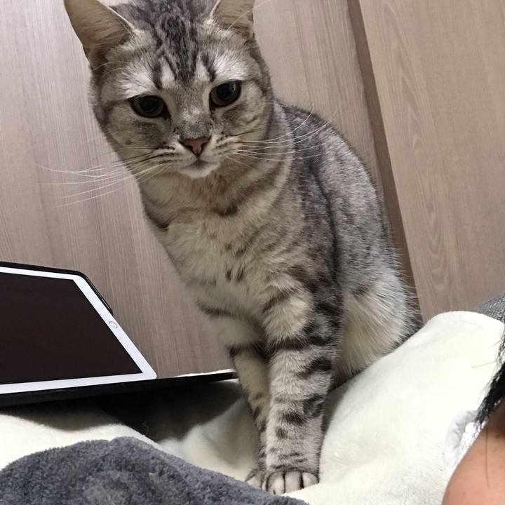 9bc632a0 06b8 4dcb 9263 3ffab96d96e2 1550204776539