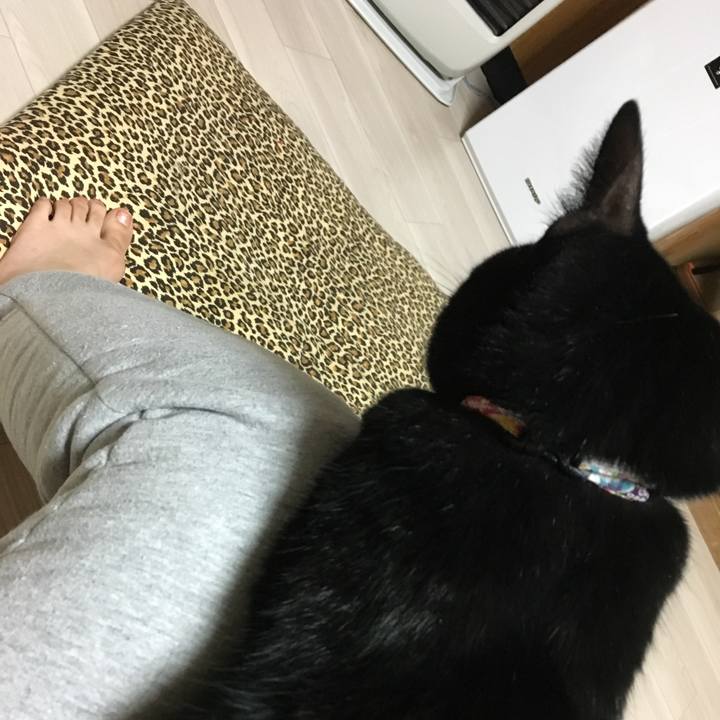 9bc636a5 cb07 495a 9026 6dd52a537b61 1514108744533