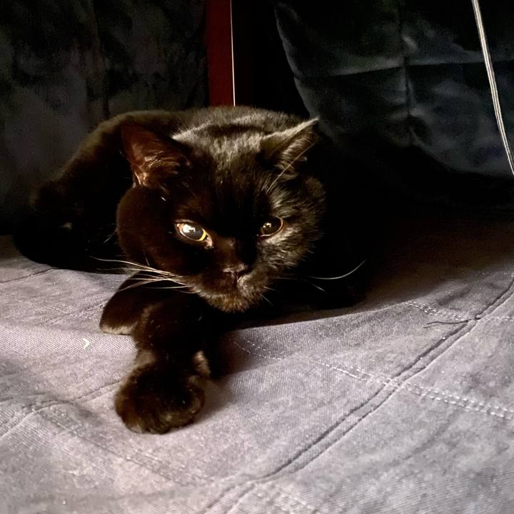 9bc67661 22ad 455f b832 56366cd1c036 1766411377913