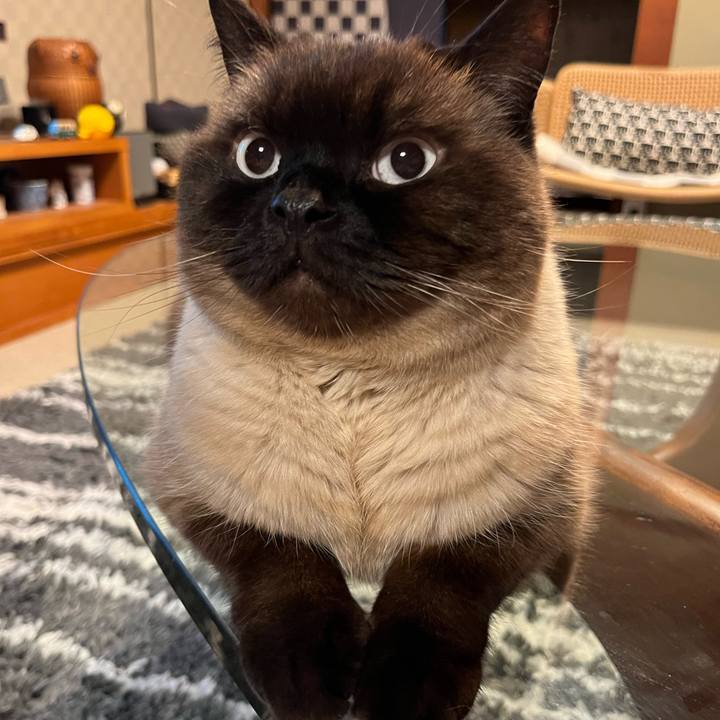 9bc6767f 663f 4d37 851e a1856875e2f6 1713614593690