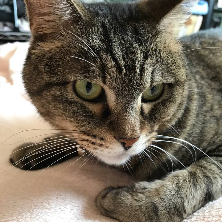 9bc6dce4 9d14 4d36 914a ec90e5357f74 1531622434413