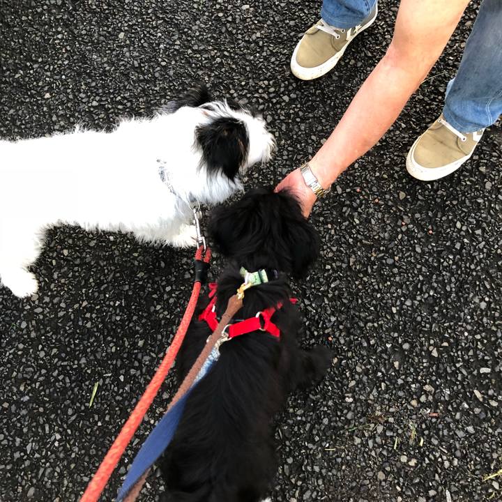 9bc6eb10 8f6c 4d2e bb5f 0b37dee438b0 1534199705542