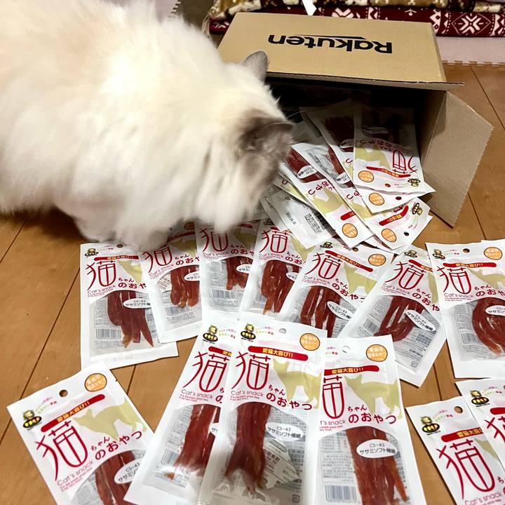 9bc6f08f c60d 4e03 9d41 f20ff4583fec 1663496187298