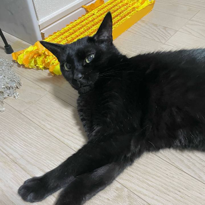 9bc71aa4 5805 466f ab60 2030eea87f3c 1743684467146