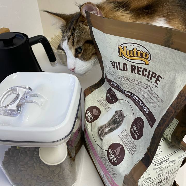 9bc73239 3a0e 479a 9979 0ed202755a8b 1665523921267