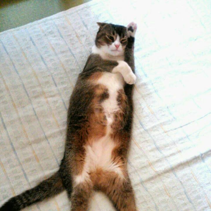 9bc75a49 417e 4750 9015 e4fb39c6060d 1515671548781