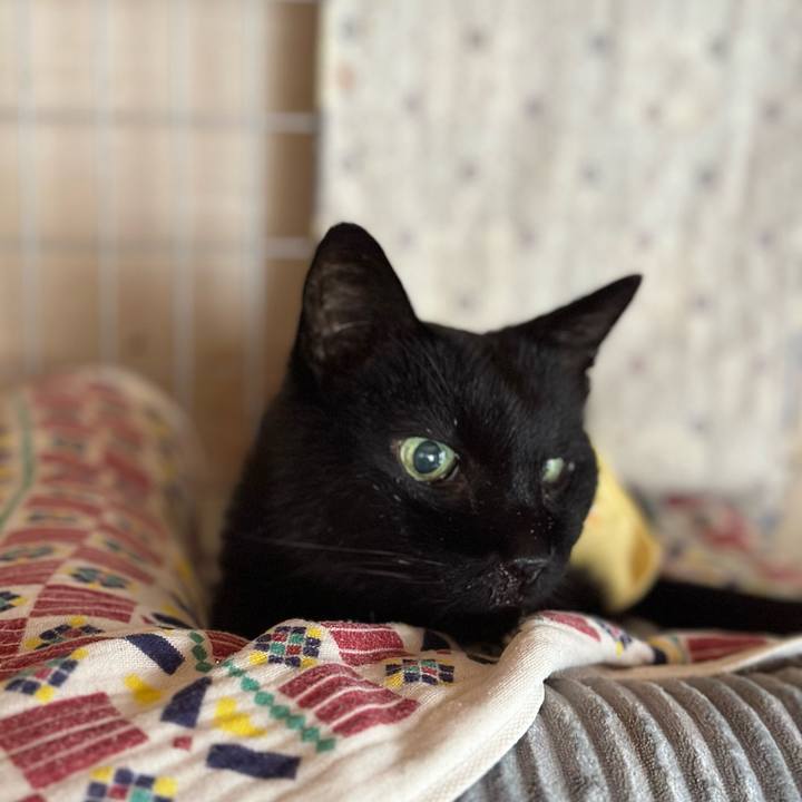 9bc76615 d415 4c5c a750 0f281e6dd7b5 1719452390277