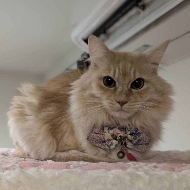 9bc77336 41d1 49b3 a920 6e843f238e06 1767750782784