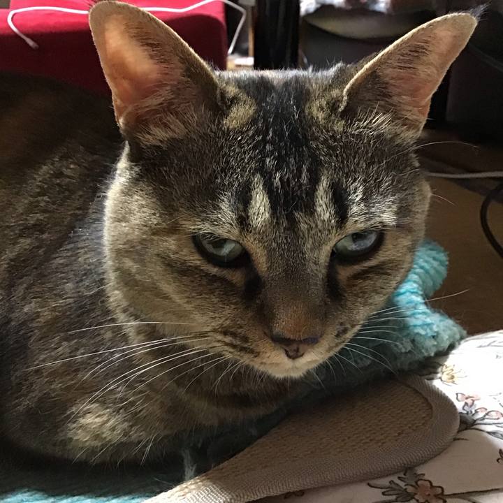 9bc78c06 b9c4 4375 b98a 6362830f40bd 1751027129809