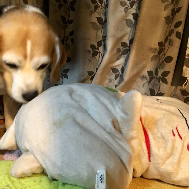 9bc799d5 b621 41af 87e4 829790054f82 1725746450272