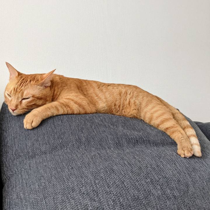 9bc7a1e4 be6d 455a 9096 64cf9c6bb1b4 1631317822993