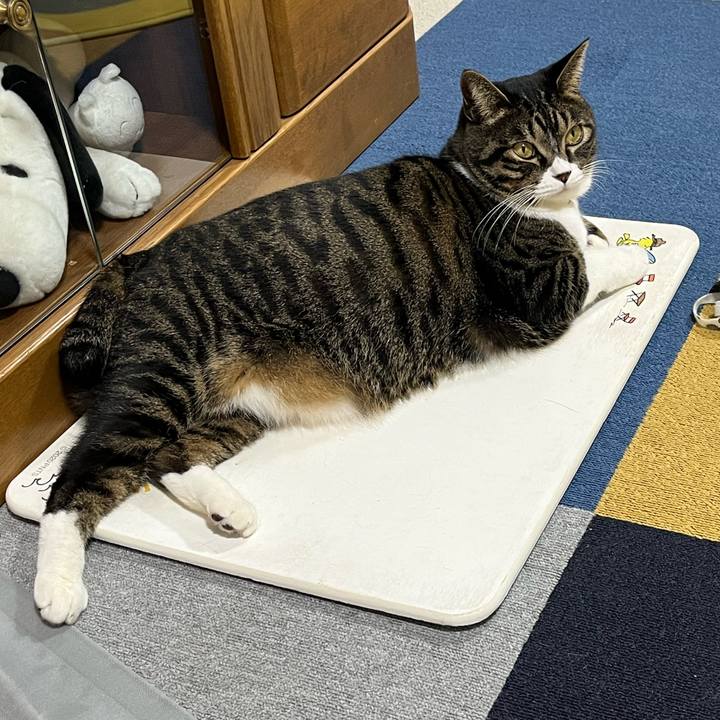 9bc828df 9766 4192 a68f e096255fe183 1766449011867