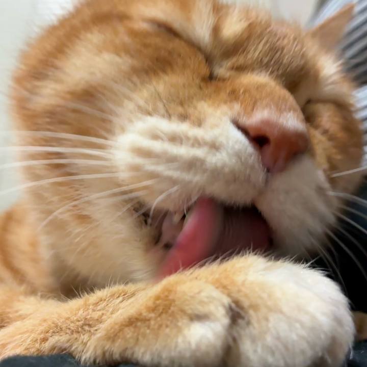 9bc856b7 7afd 49b6 b74a 4435049ea9be 1768897085666