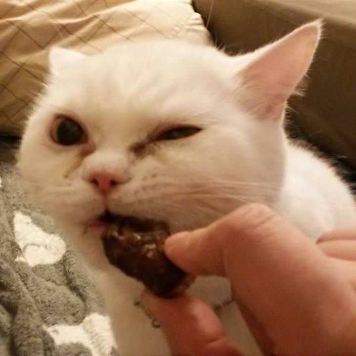 9bc87b45 af87 4a39 b05d d83baf49332c 1526481261086