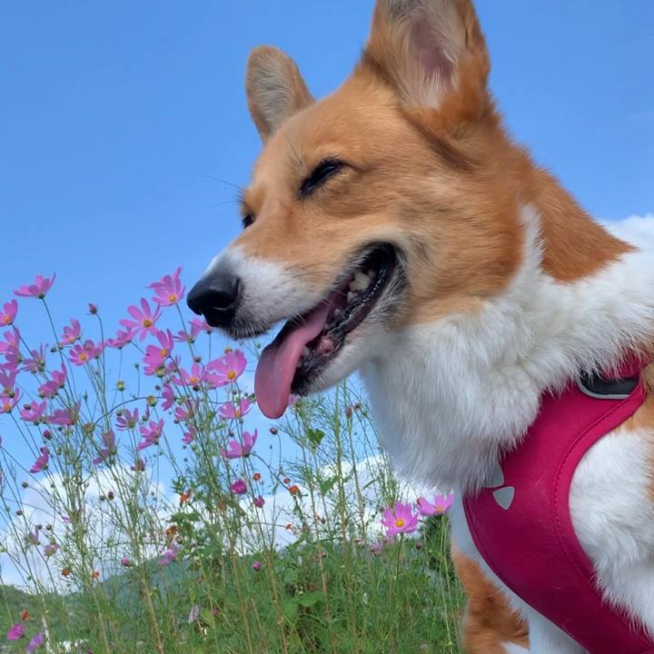 9bc8981b ee2e 4b86 a8ab 56073d111df8 1631753985251