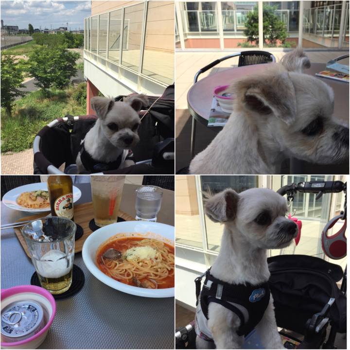 9bc8c852 ad79 472f a9f6 e4be5e21b8ba 1527847466202