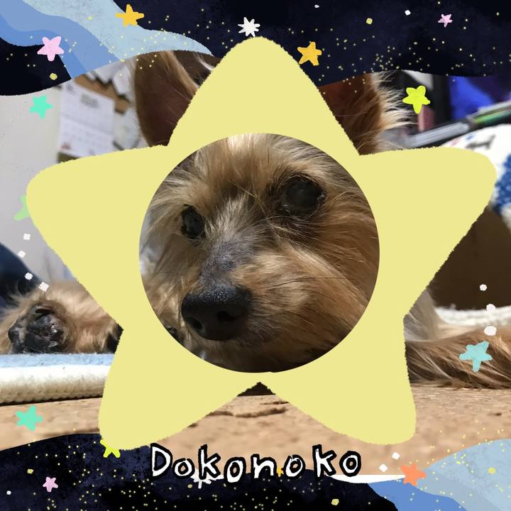 9bc8d58b b752 41c8 9d3c 37ae4a0d370a 1720788196437