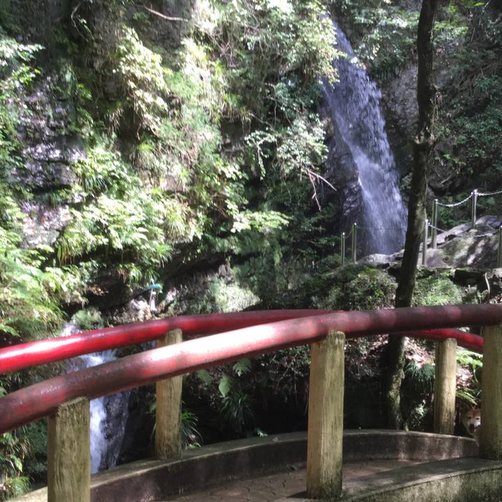 9bc91748 dae4 432f b708 77d2bfcbb99a 1565602879826