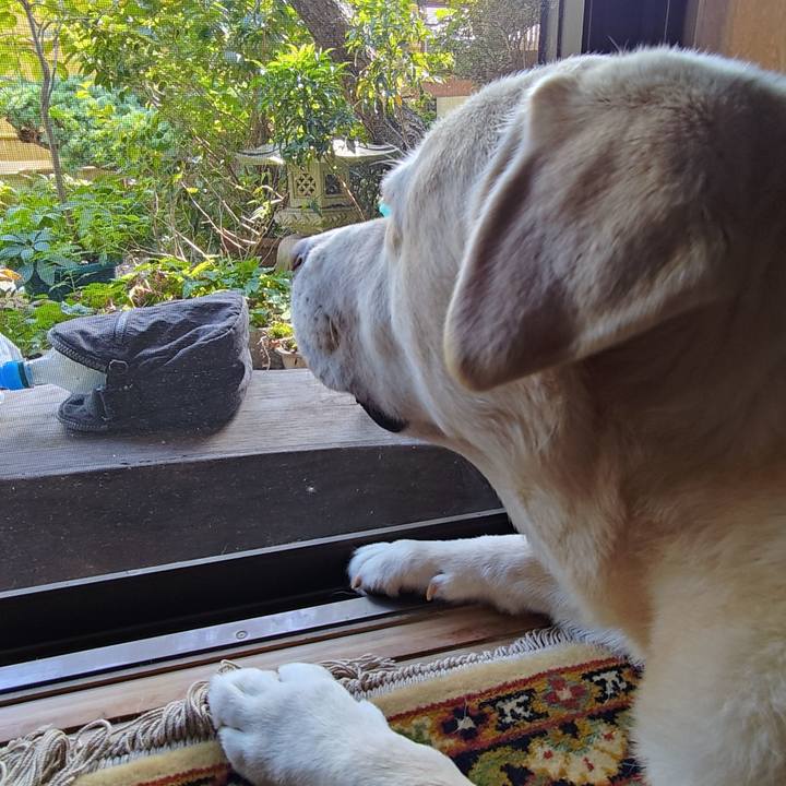 9bc9742c 9f2f 4e3b 9b2b e910d7174400 1759205124558