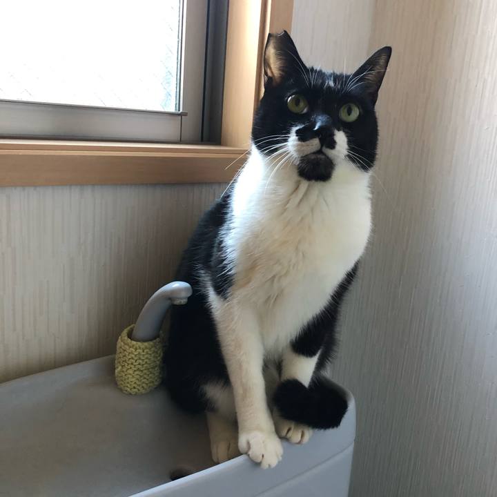 9bc984f0 7312 41c1 b85f c8ed5386d814 1578258738423