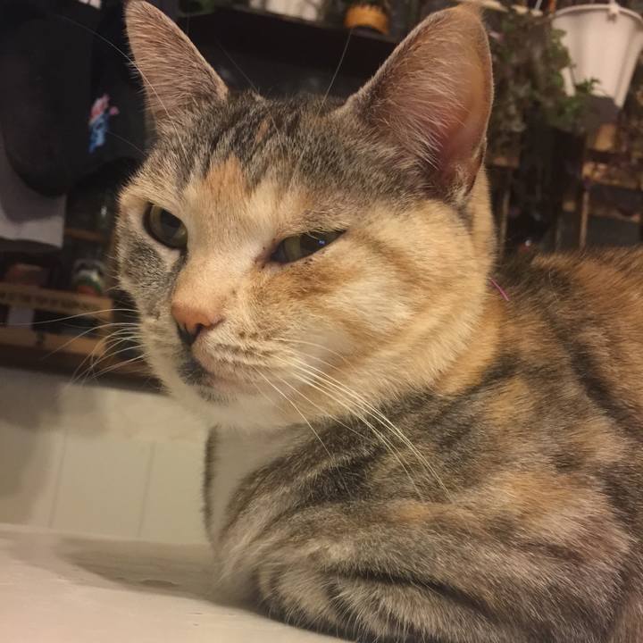 9bca09bf a0be 4fa4 b391 1d0af14a09d9 1552921318955