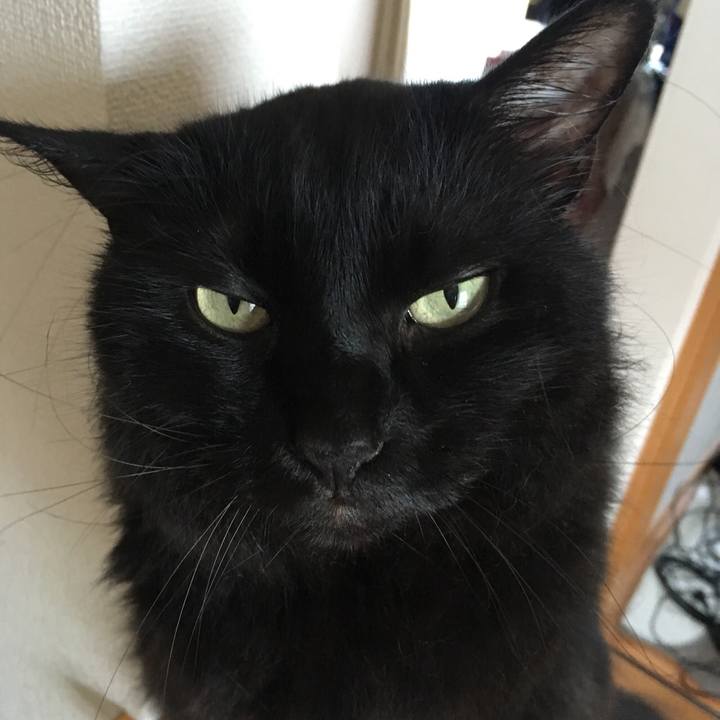 9bca18a0 1cd4 4057 baae a66517420059 1532929845205