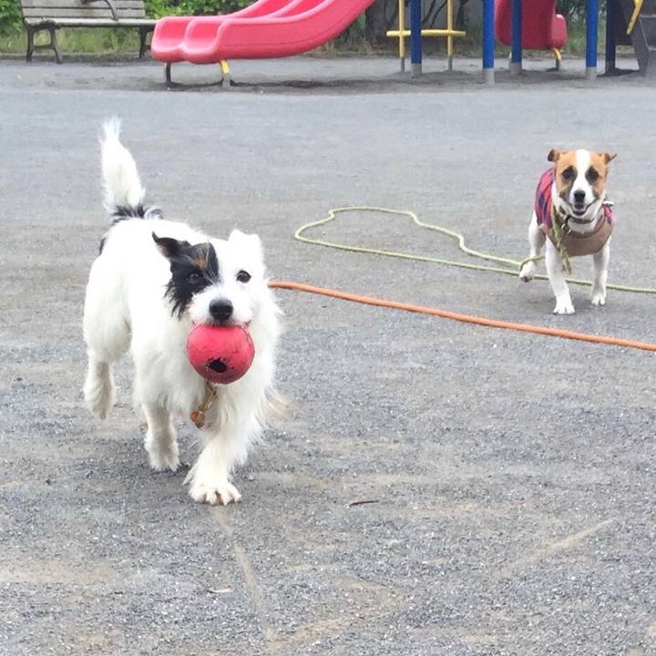 9bcaa4c7 4839 4d90 85a0 fb2905d0fdb7 1521632726823