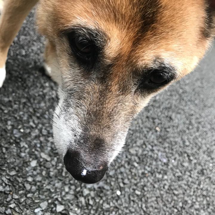 9bcace53 cee2 4bdd aea5 a5c906166ca9 1536017386337