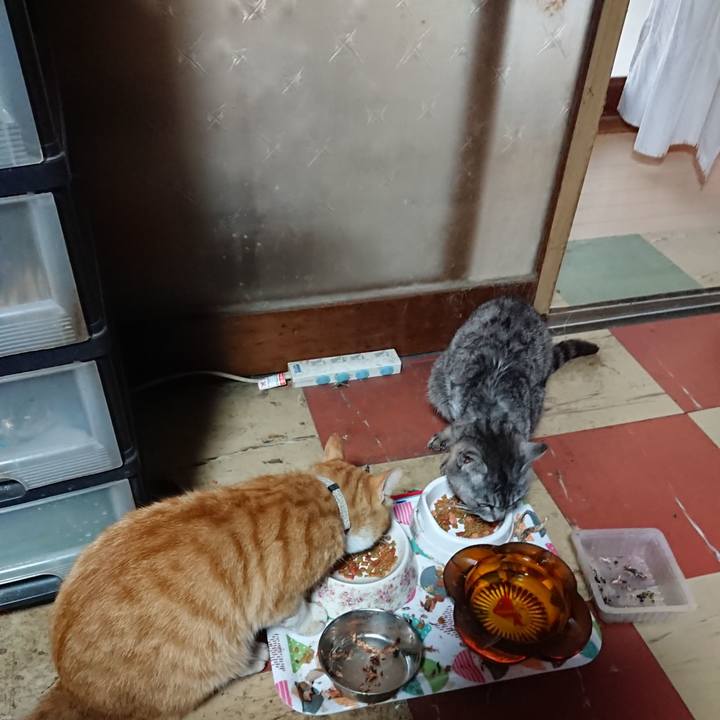 9bcadd31 b897 46e2 9d27 2c16793eefea 1591561164492