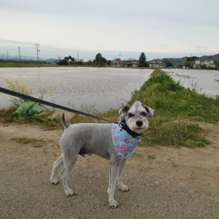 9bcaeaed 0806 4773 965e 8d9497306139 1776899890124