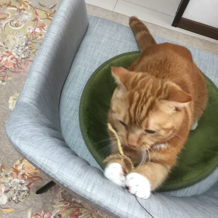 9bcaecc3 6e83 476d 8e1d 13e52366a017 1581128394016