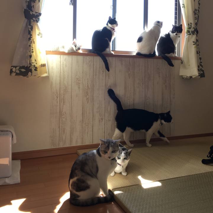 9bcb253b f64b 44c7 9ba2 2f5e213bd678 1520048787954