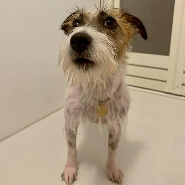 9bcb326d d1d3 4e26 9802 85f89e729843 1625404643687