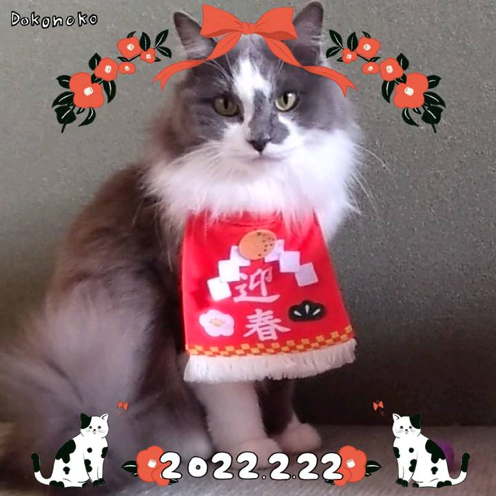 9bcb3a1a aa59 4778 81c0 1ec9b094c09b 1645502468621