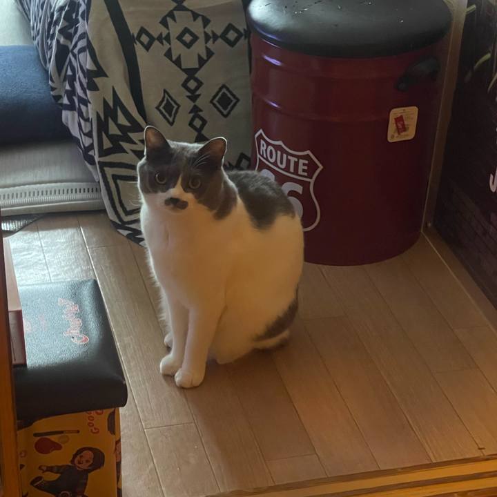 9bcb43ce e8f9 4e1b a015 da75ff184929 1757549190657