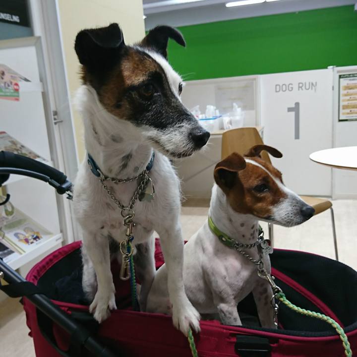 9bcb7320 8a7d 469f b9d8 c11c8e443922 1603968146729